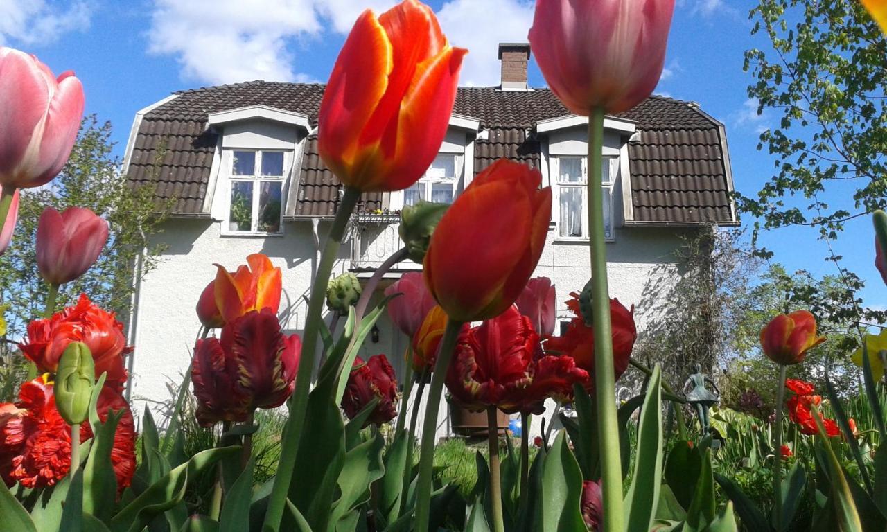 Wonderful Home Bodafors Exterior foto